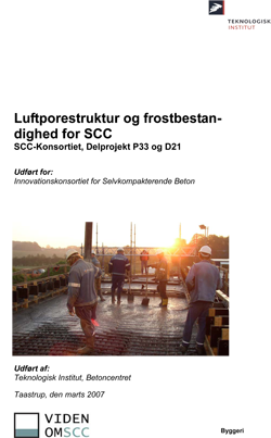 Leftporestruktur og frostbestandighed for SCC